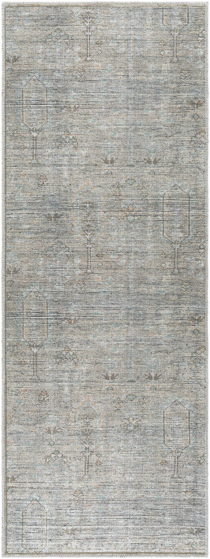 Aglaja Traditional Style Gray Machine Washable Area Rug