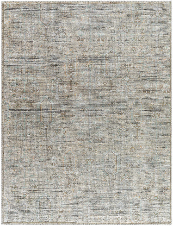 Aglaja Traditional Style Gray Machine Washable Area Rug