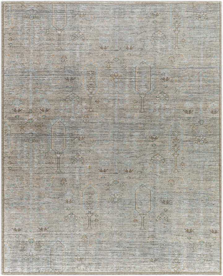 Aglaja Traditional Style Gray Machine Washable Area Rug