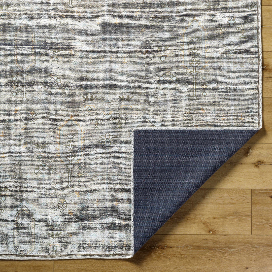Aglaja Traditional Style Gray Machine Washable Area Rug