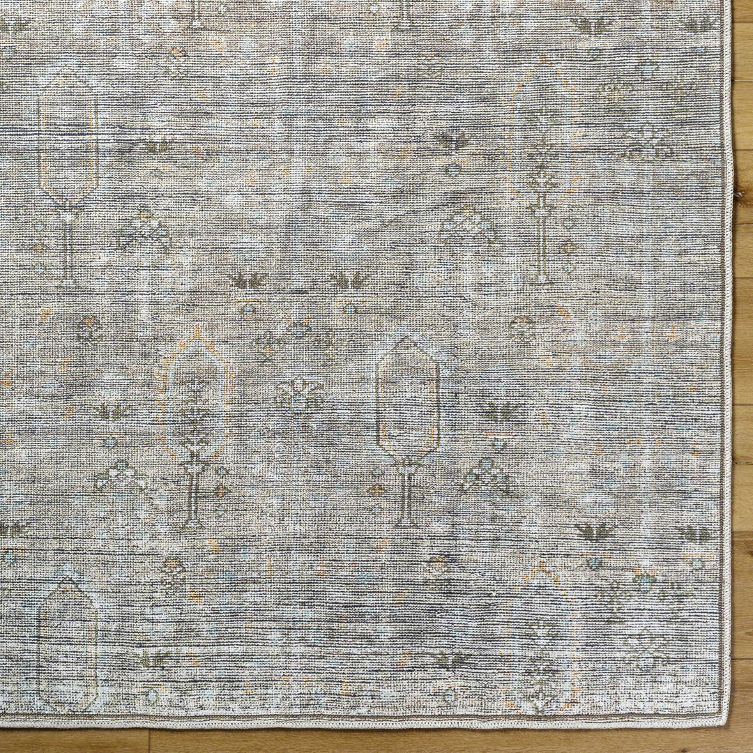 Aglaja Traditional Style Gray Machine Washable Area Rug
