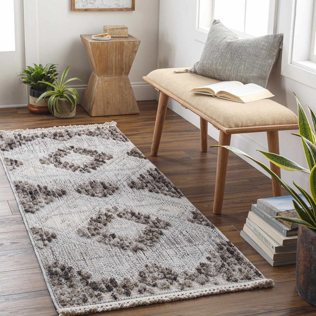 Cabarroguis Traditional Style Gray Area Rug