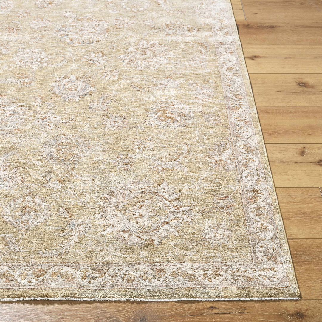 Chyron Traditional Tan And Beige Rug