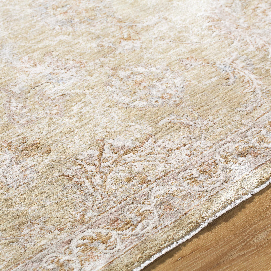 Chyron Traditional Tan And Beige Rug