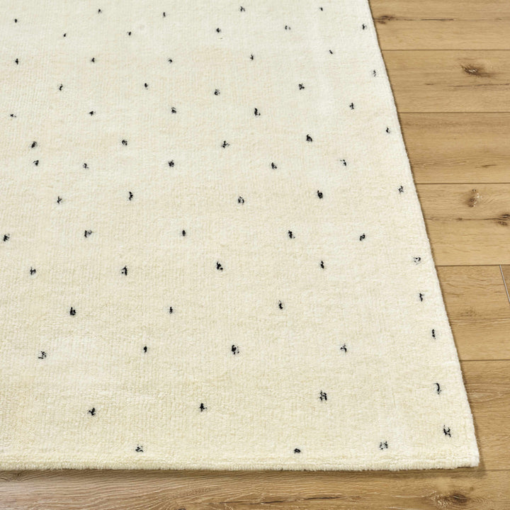 Cirila Modern Style Ivory Hand Tufted Wool Washable Rug
