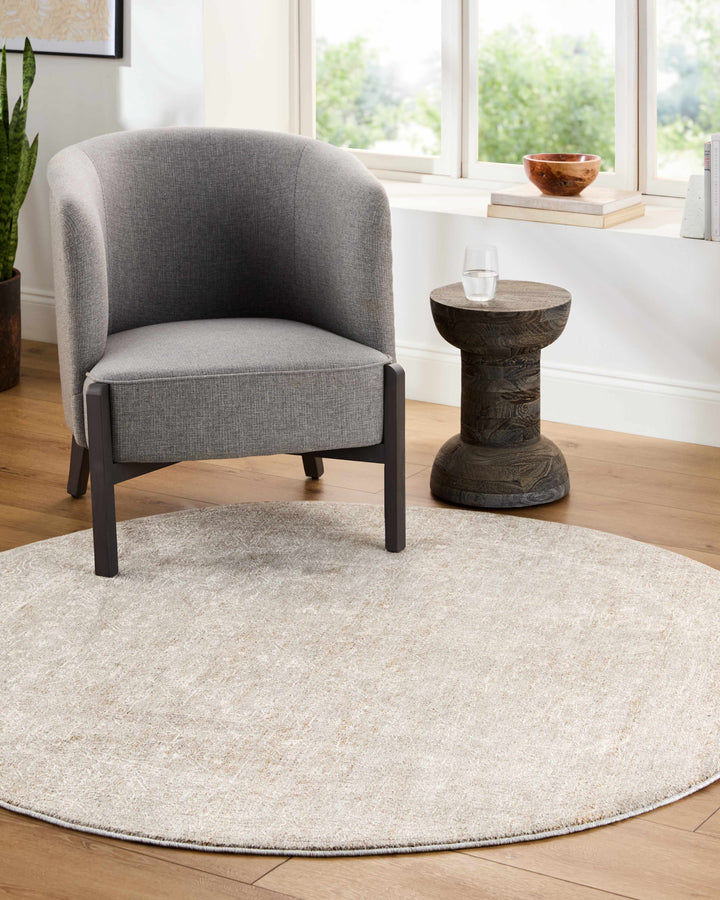 Catrin Traditional Gray Machine Woven Rug
