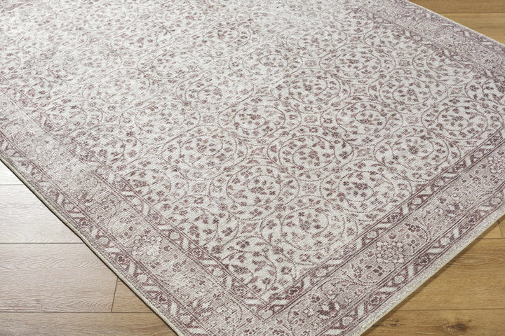 Chayan Traditional Style Ivory And Brown Area Rug