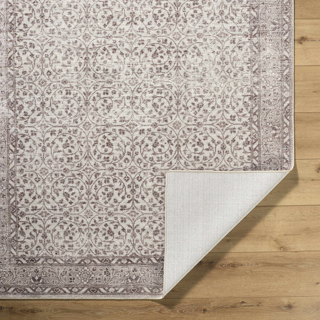 Chayan Traditional Style Ivory And Brown Area Rug