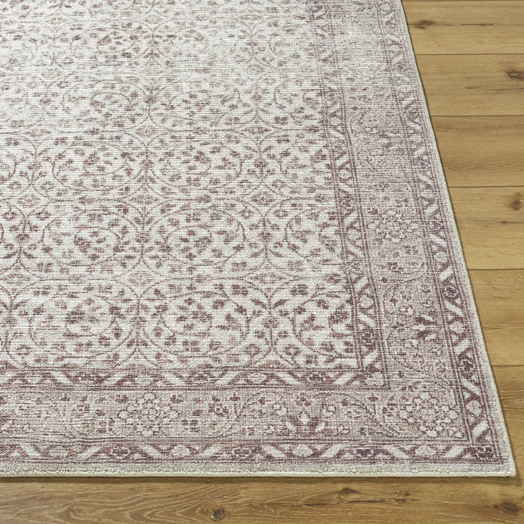 Chayan Traditional Style Ivory And Brown Area Rug