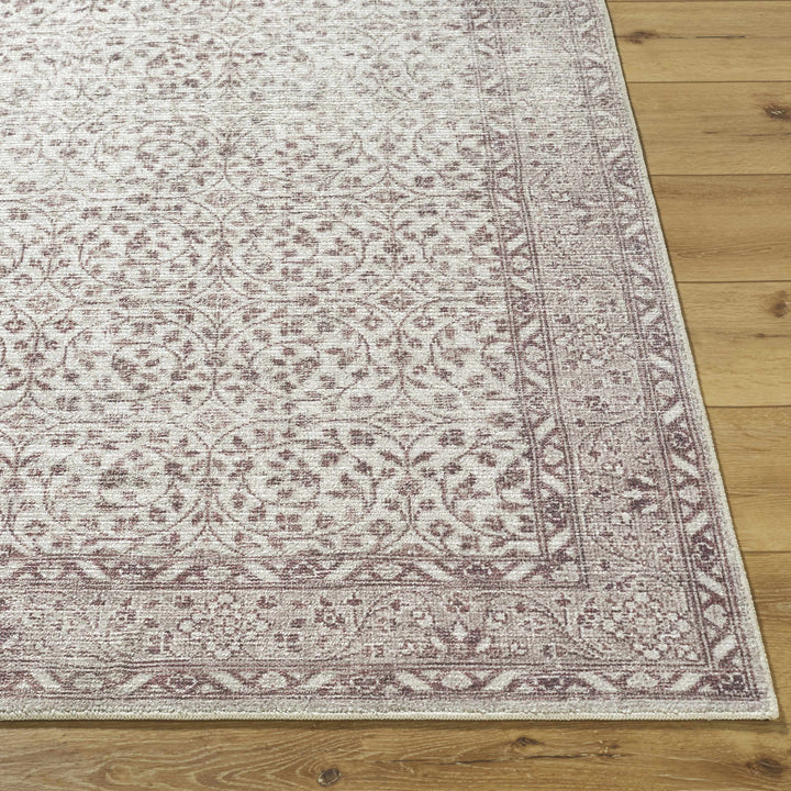 Chayan Traditional Style Ivory And Brown Area Rug
