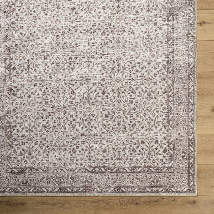 Chayan Traditional Style Ivory And Brown Area Rug