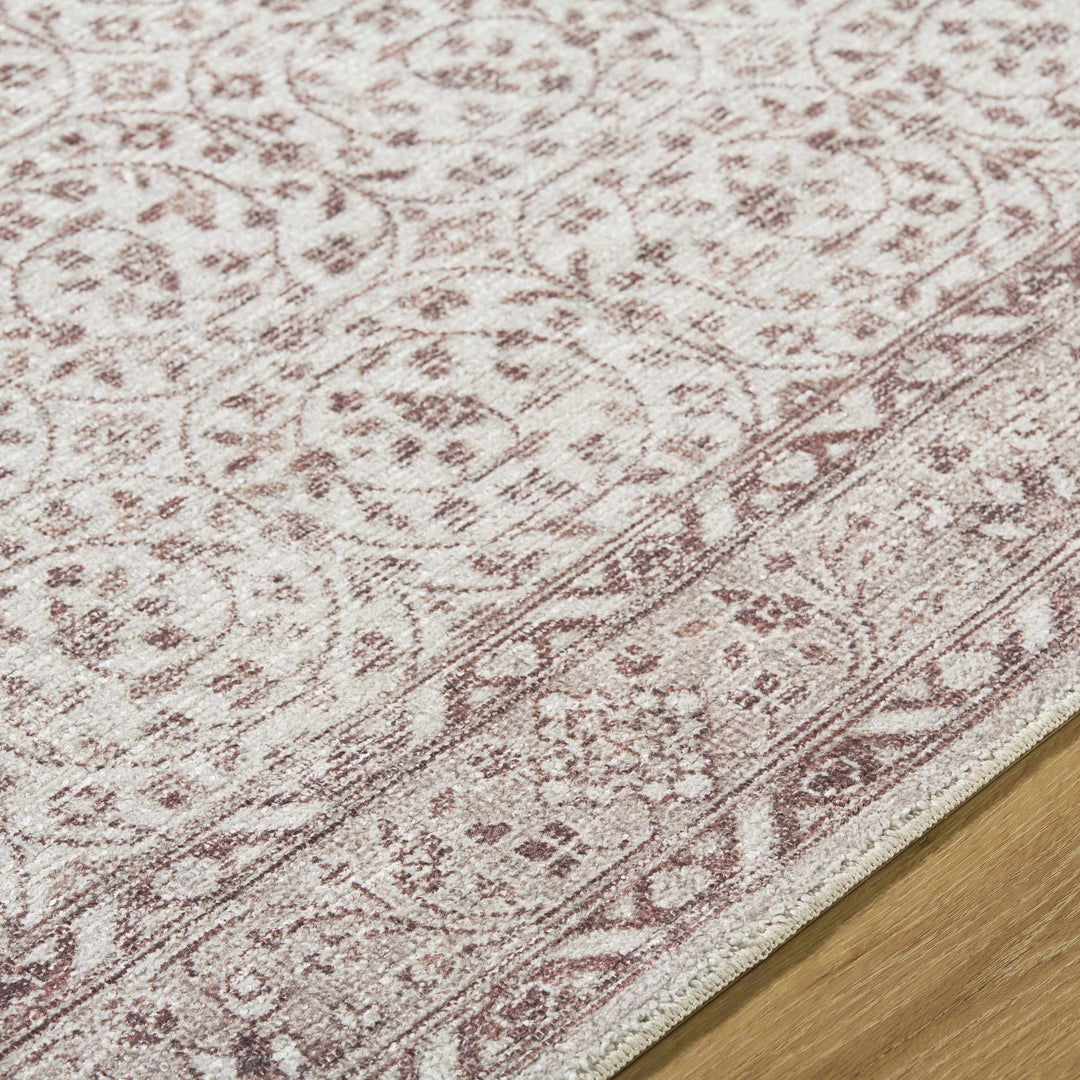 Chayan Traditional Style Ivory And Brown Area Rug