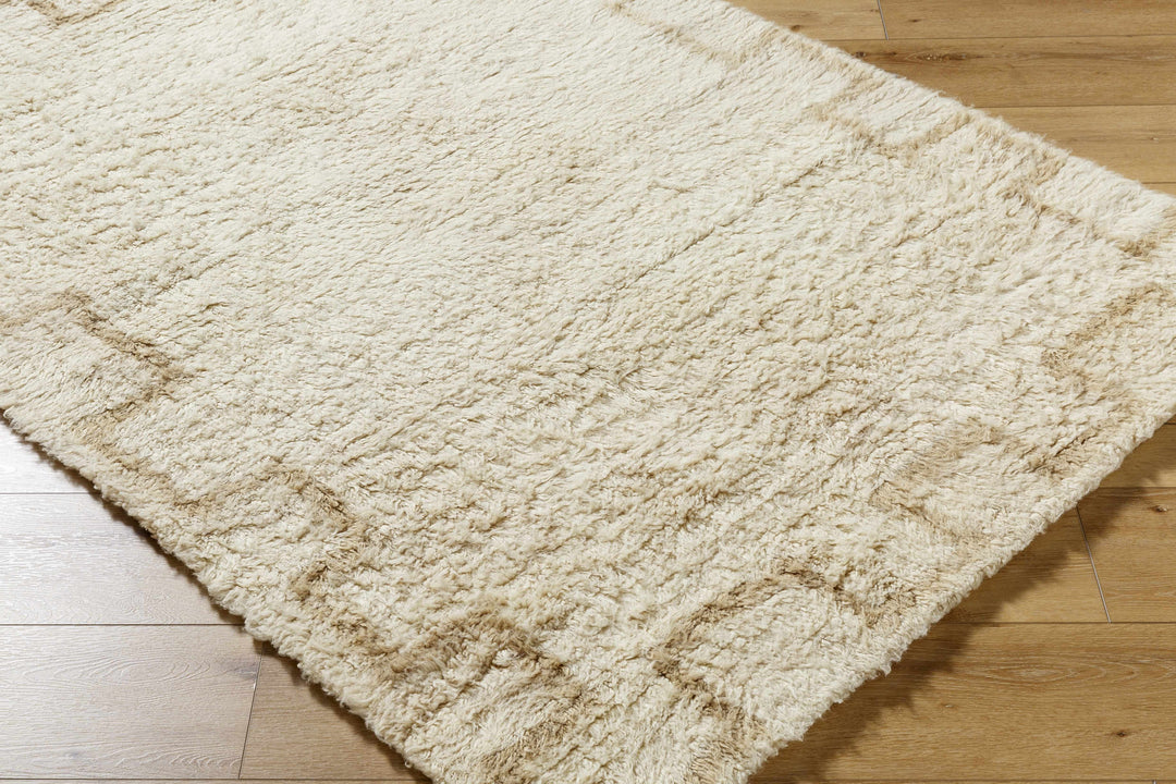 Ciniod Beige Modern Geometric Design Hand Tufted Area Rug