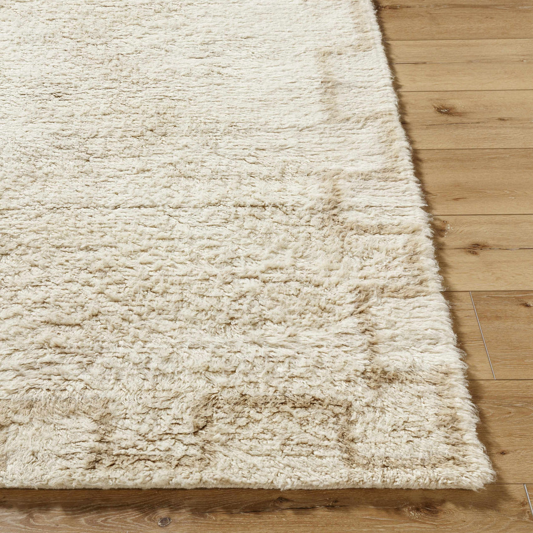 Ciniod Beige Modern Geometric Design Hand Tufted Area Rug