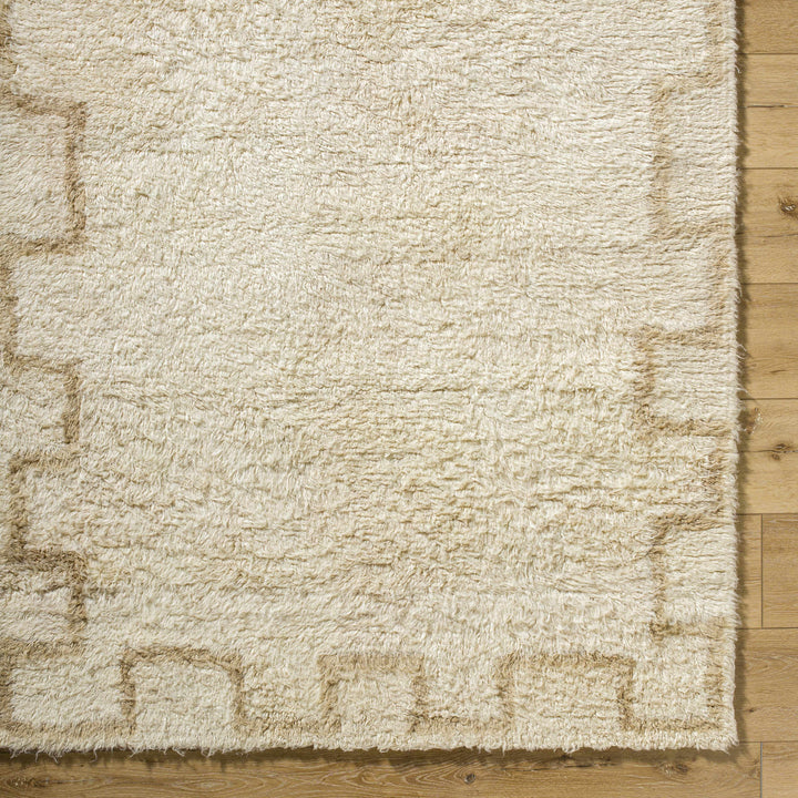 Ciniod Beige Modern Geometric Design Hand Tufted Area Rug