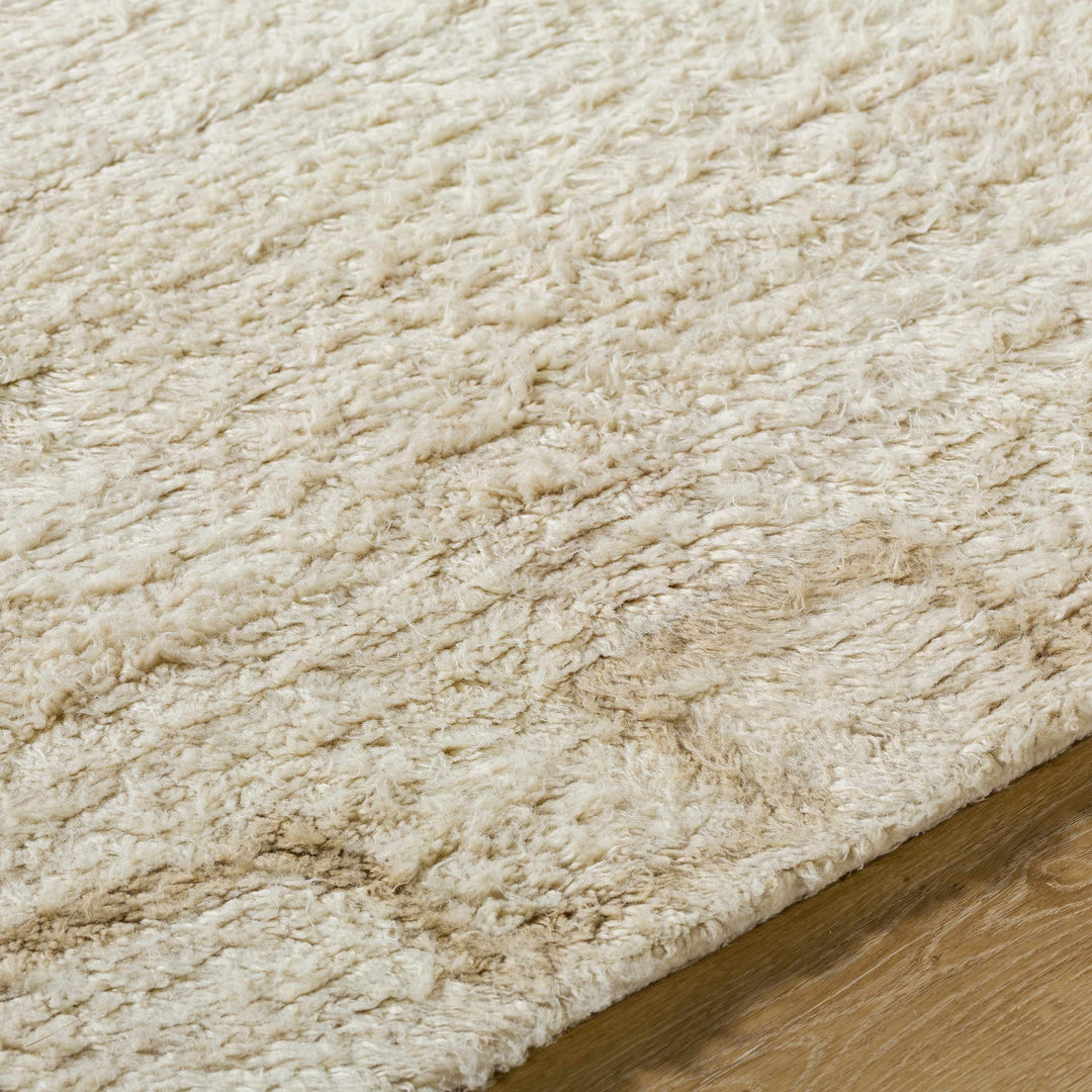 Ciniod Beige Modern Geometric Design Hand Tufted Area Rug