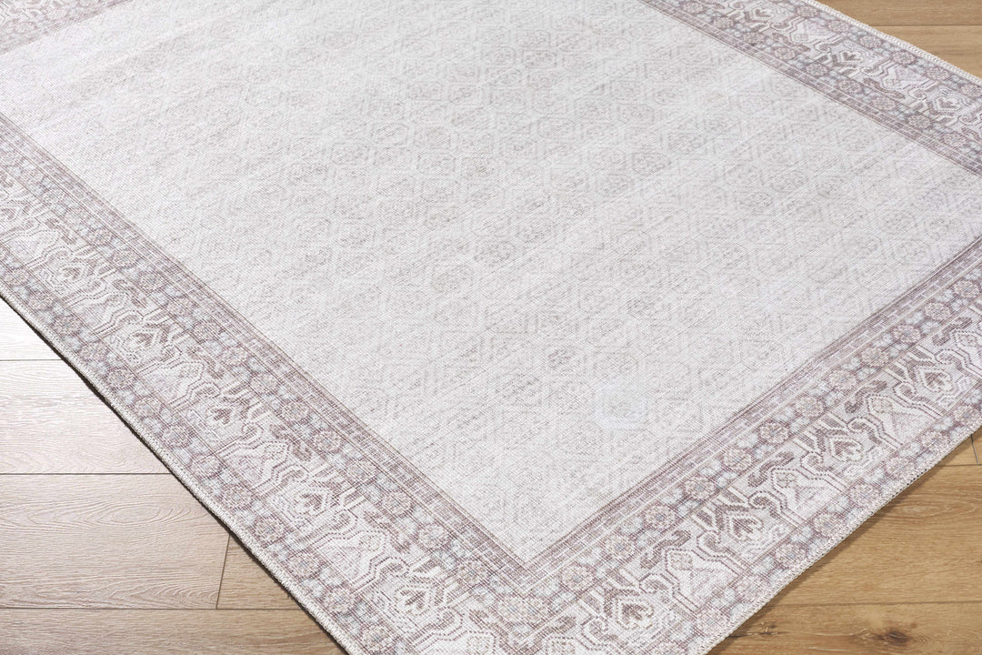 Rainier Traditional Ivory And Brown Rug