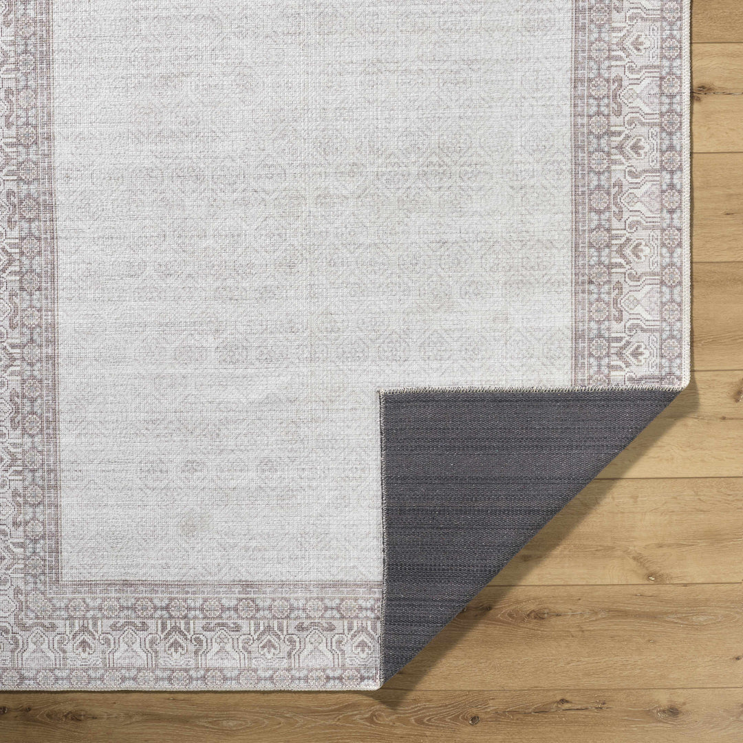 Rainier Traditional Ivory And Brown Rug