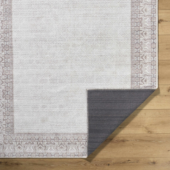 Rainier Traditional Ivory And Brown Rug