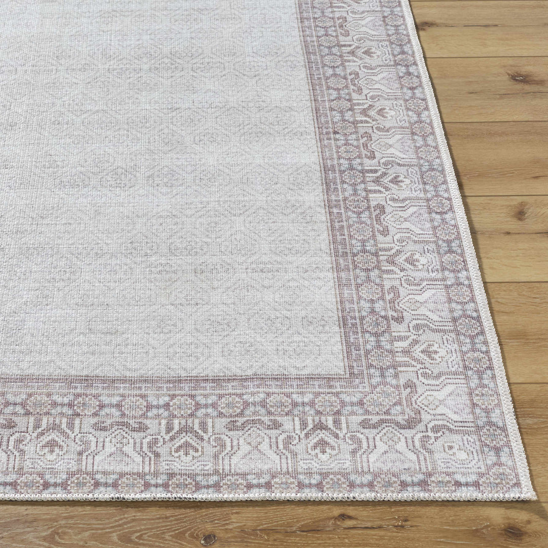 Rainier Traditional Ivory And Brown Rug