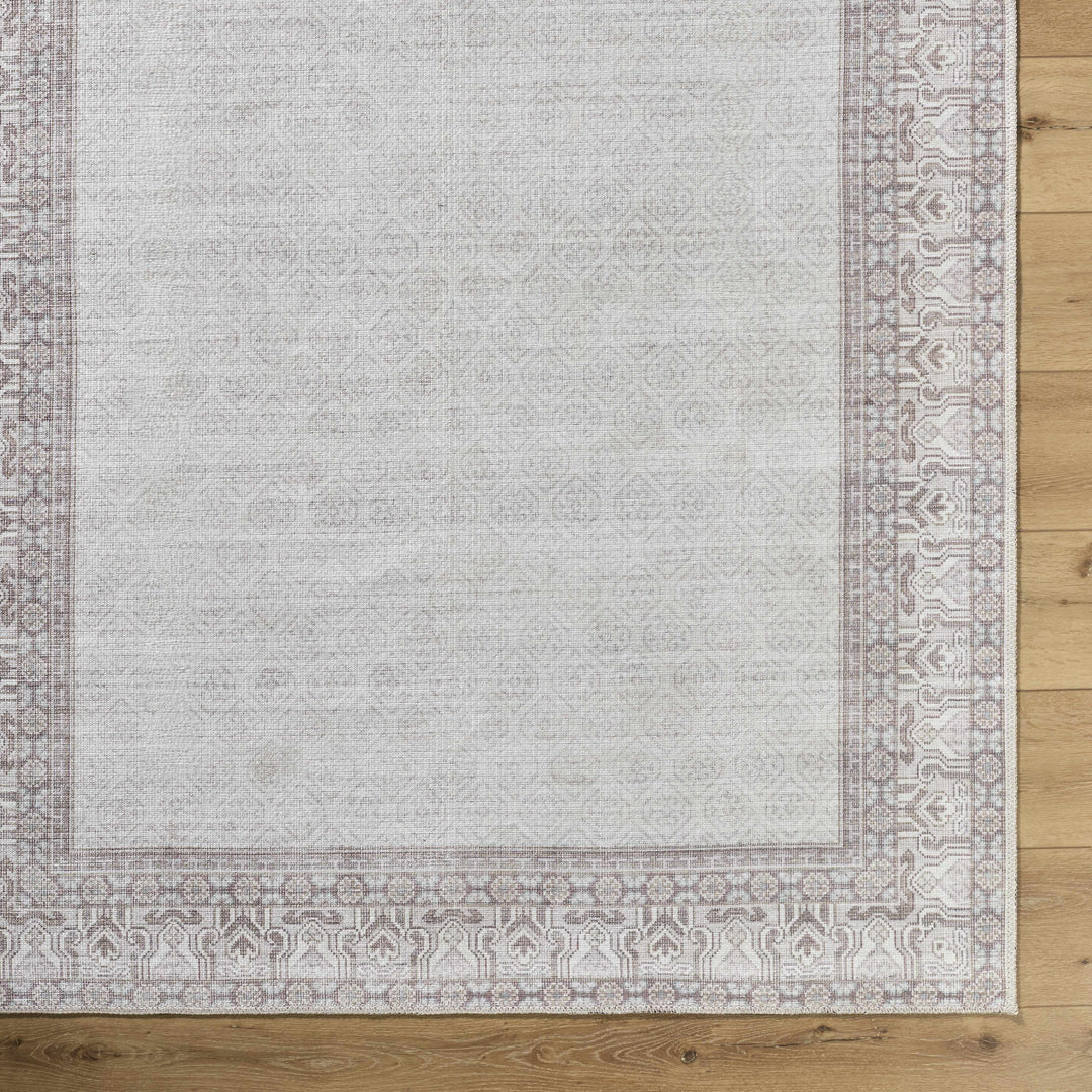 Rainier Traditional Ivory And Brown Rug