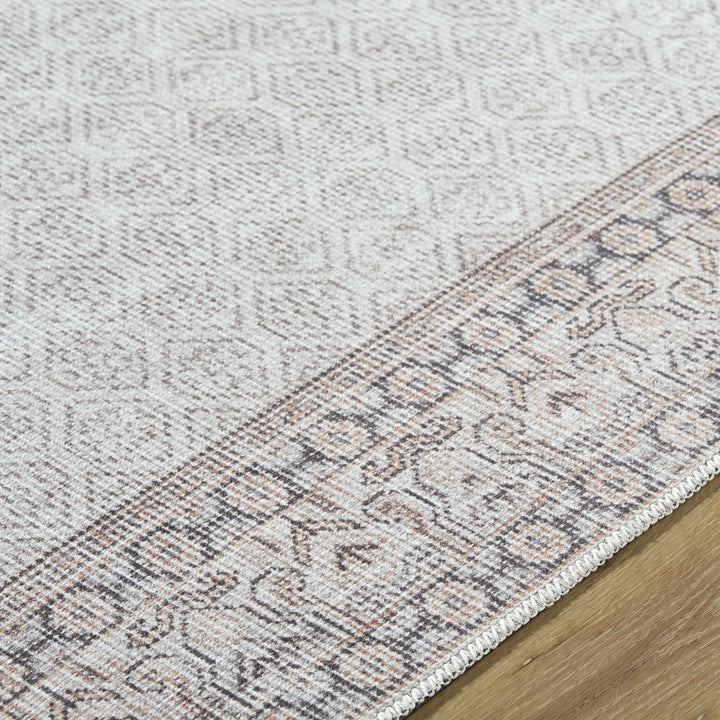 Rainier Traditional Style Beige Washable Rug