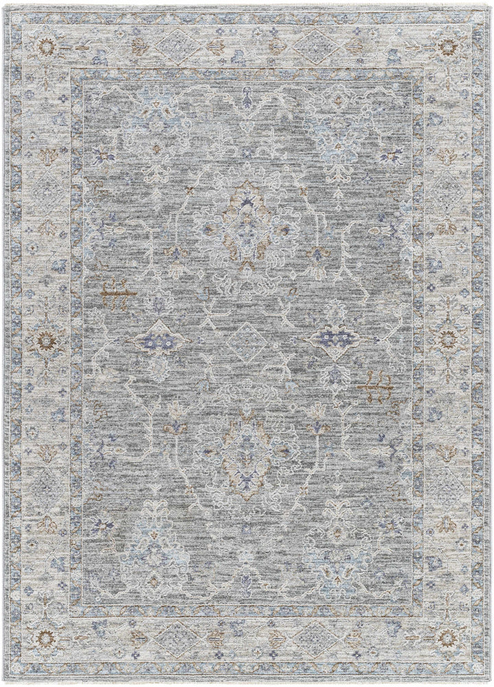 Clem Traditional Style Gray Area Rug