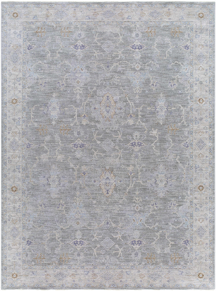 Clem Traditional Style Gray Area Rug