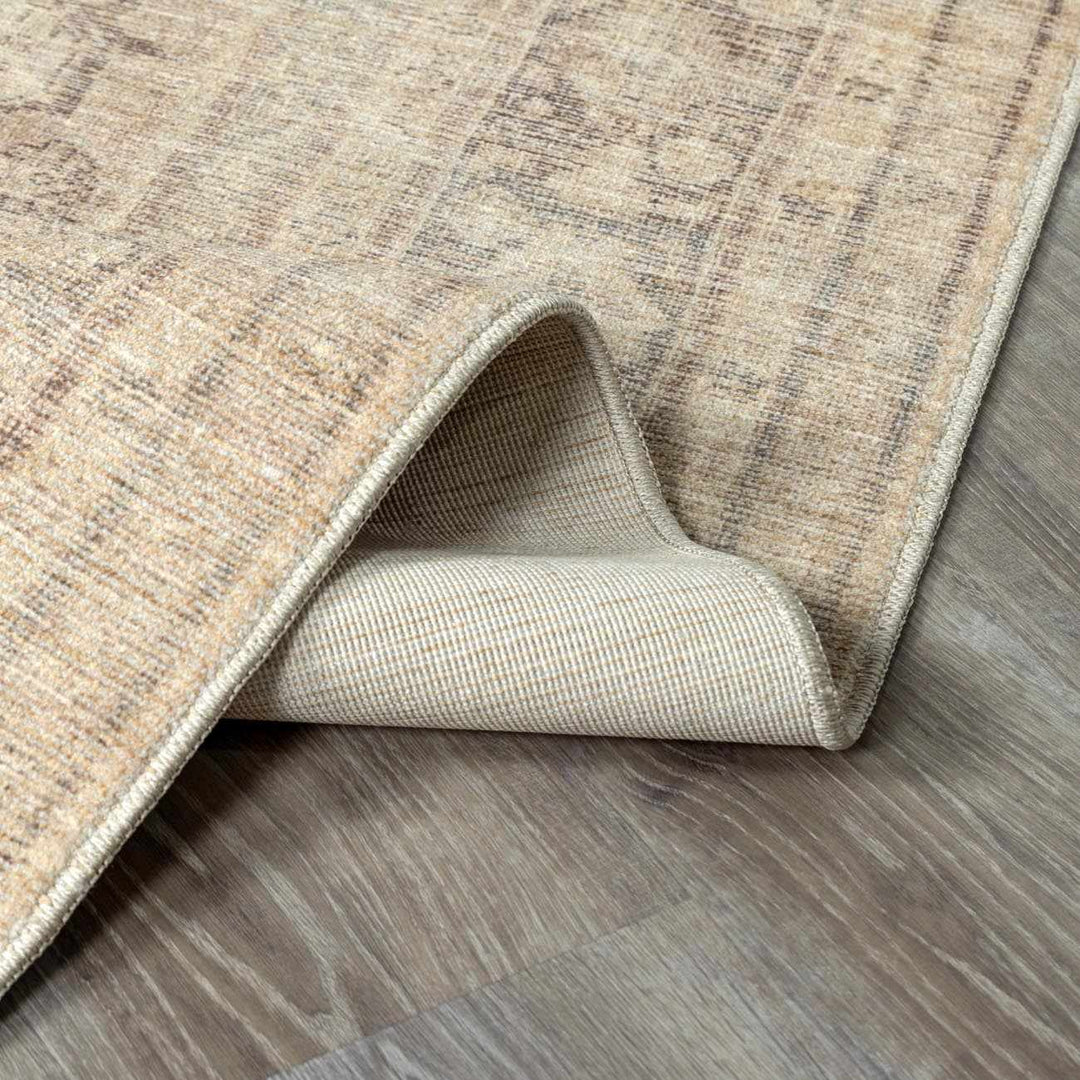 Chevis Traditional Style Beige Area Rug