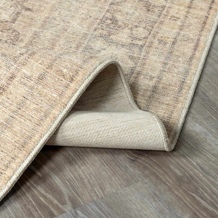 Chevis Traditional Style Beige Area Rug