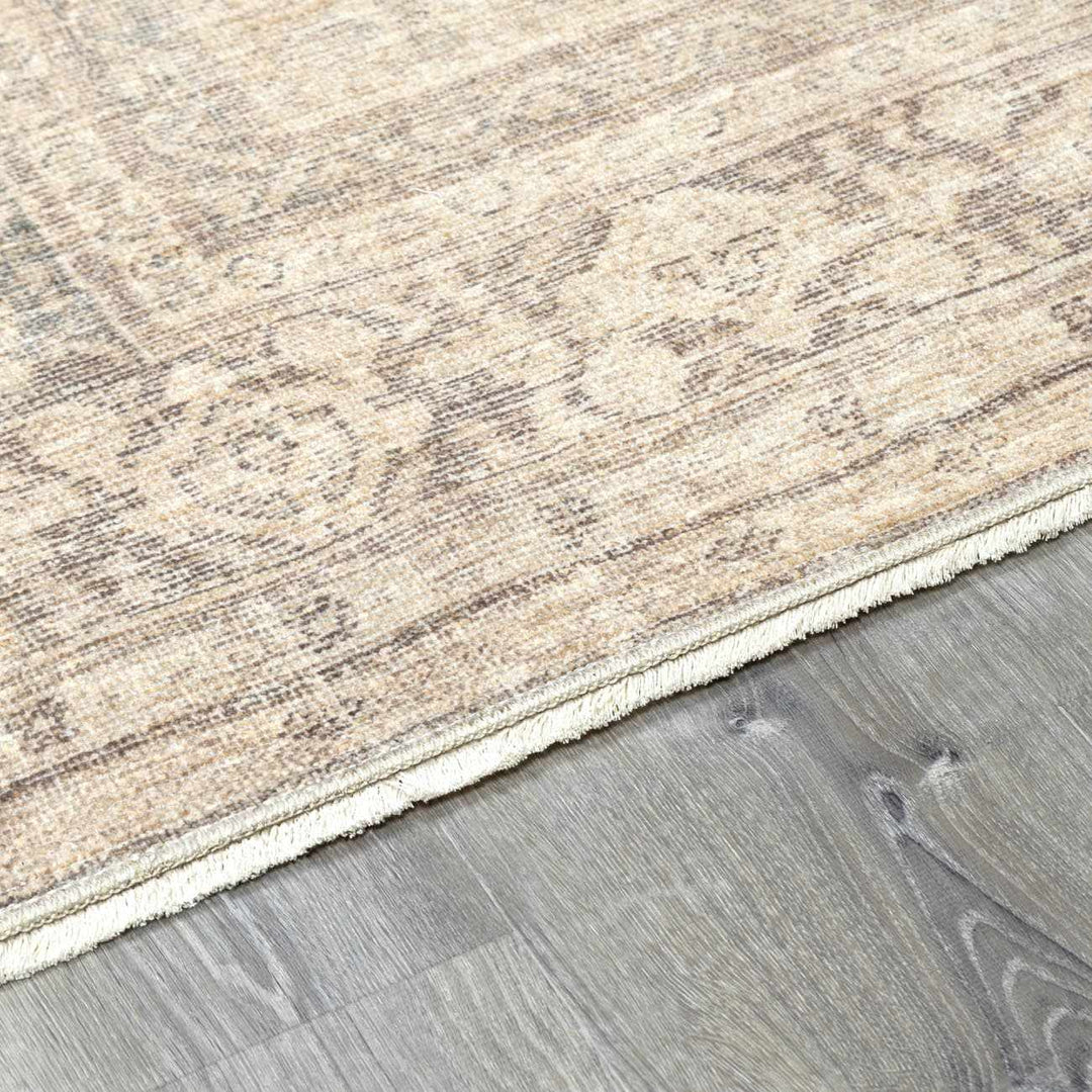 Chevis Traditional Style Beige Area Rug