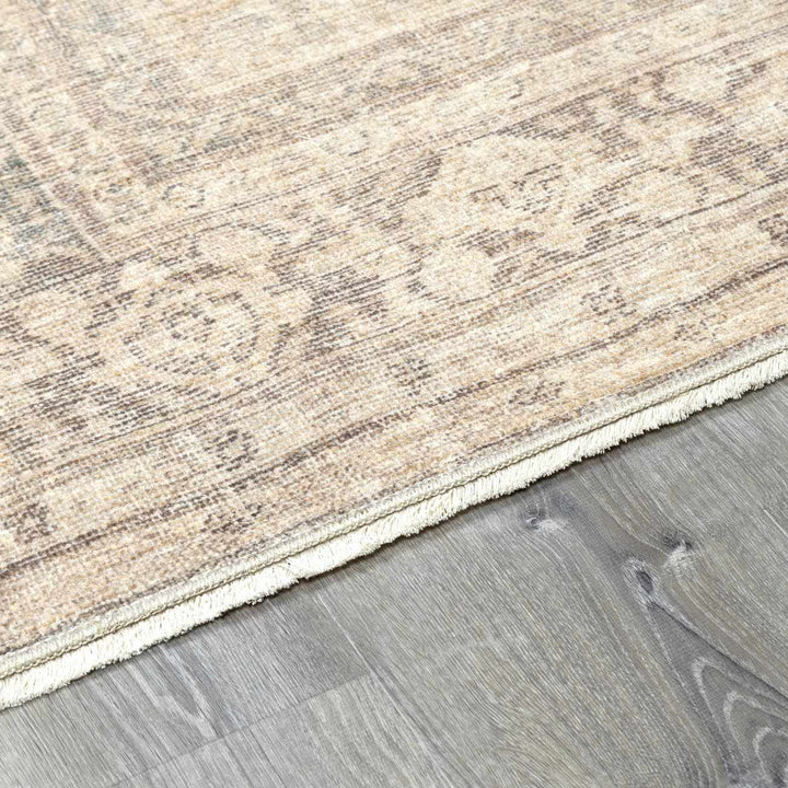 Chevis Traditional Style Beige Area Rug