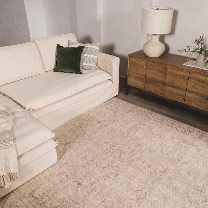 Chevis Traditional Style Beige Area Rug