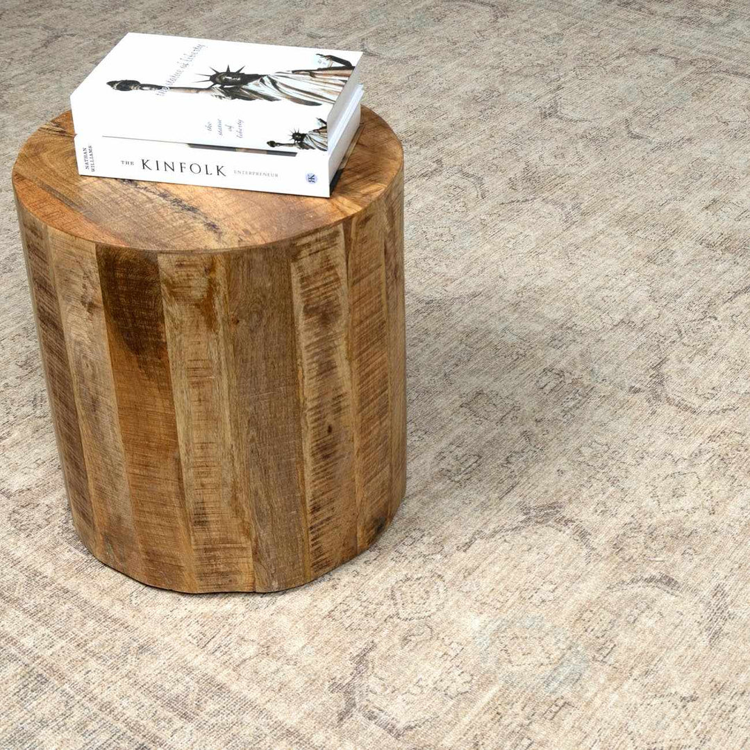 Chevis Traditional Style Beige Area Rug