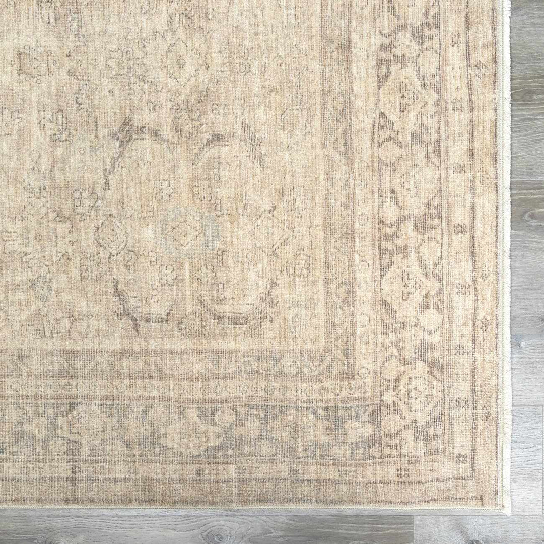 Chevis Traditional Style Beige Area Rug