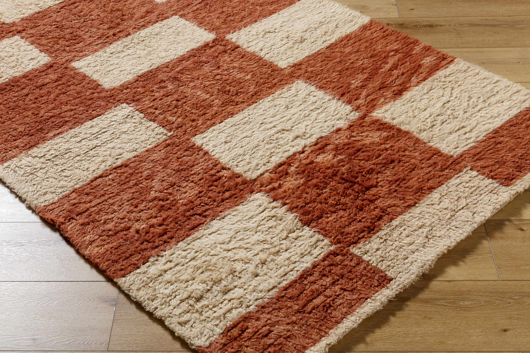 Coleka Modern Geometrical Rust And Beige Rug