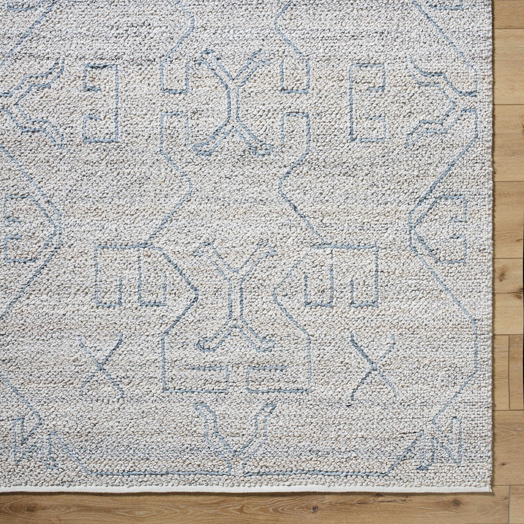 Cosmin Contemporary Style Beige Hand Woven Outdoor Area Rug