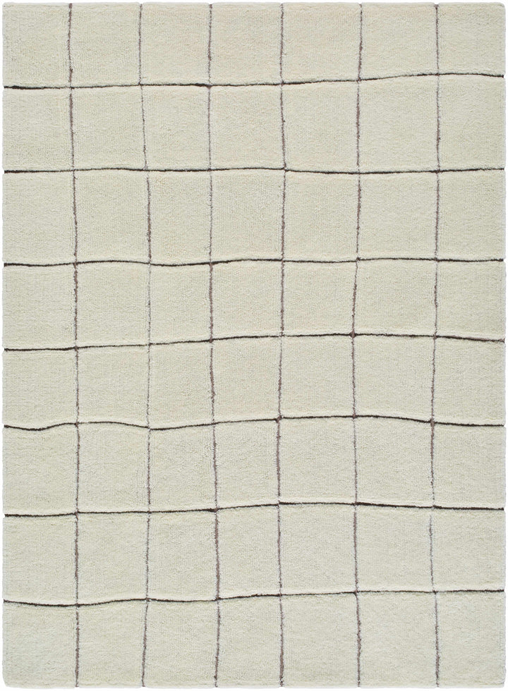 Caolan Modern Geometrical White Washable Area Rug