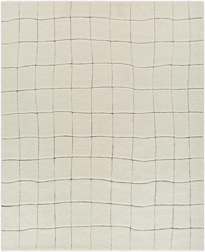 Caolan Modern Geometrical White Washable Area Rug