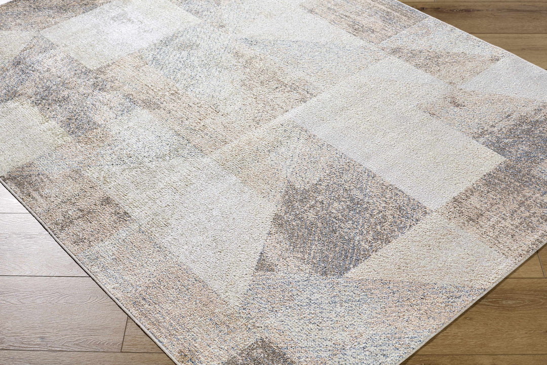 Chachi Contemporary Abstract Beige And Gray Rug