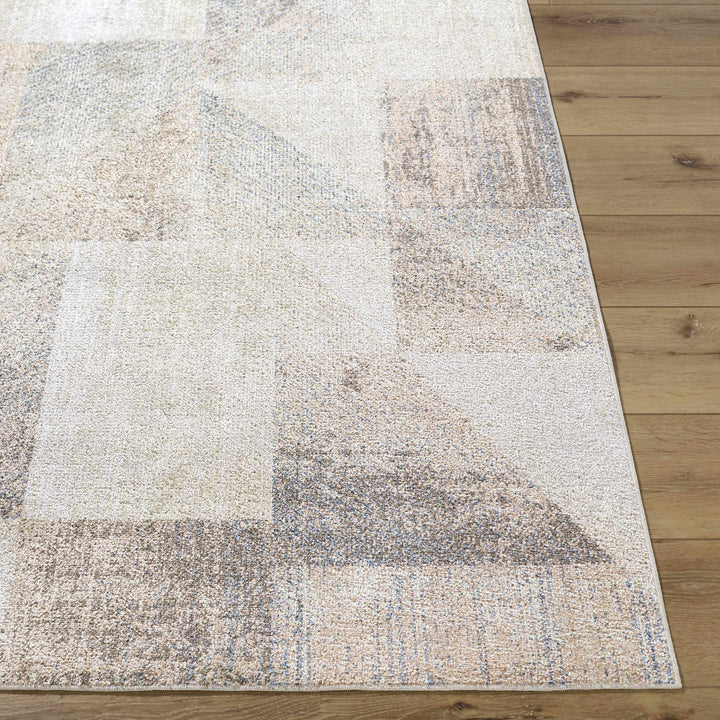 Chachi Contemporary Abstract Beige And Gray Rug