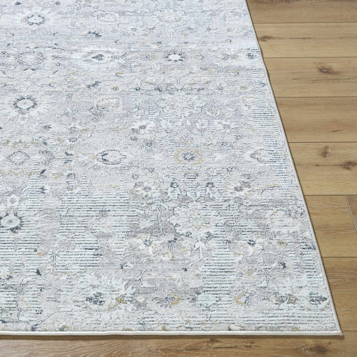 Cheyne Traditional Style Silver And Gray Area Rug
