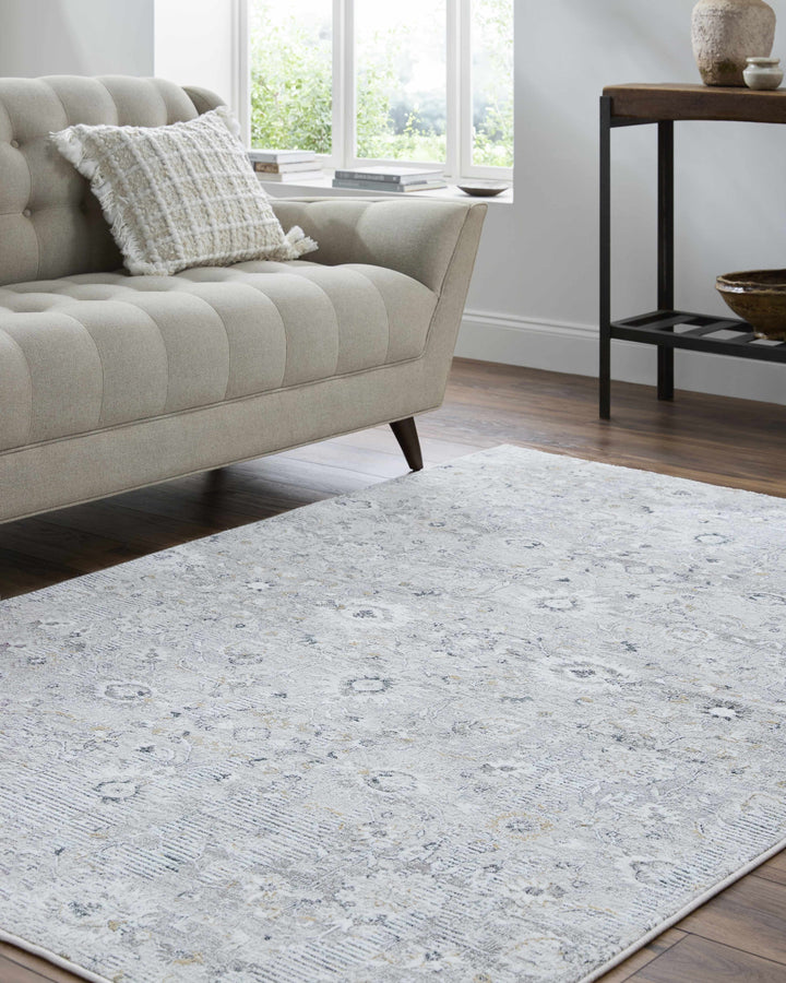 Cheyne Traditional Style Silver And Gray Area Rug