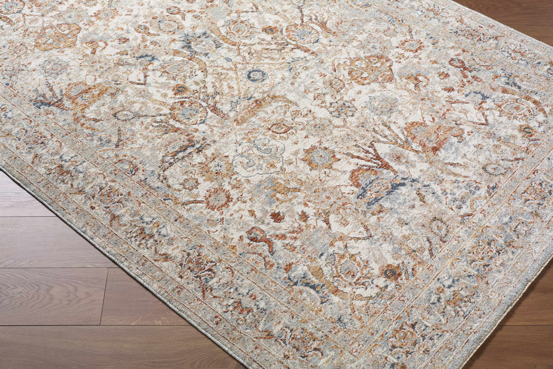 Chikao Traditional Style Beige And Brown Area Rug