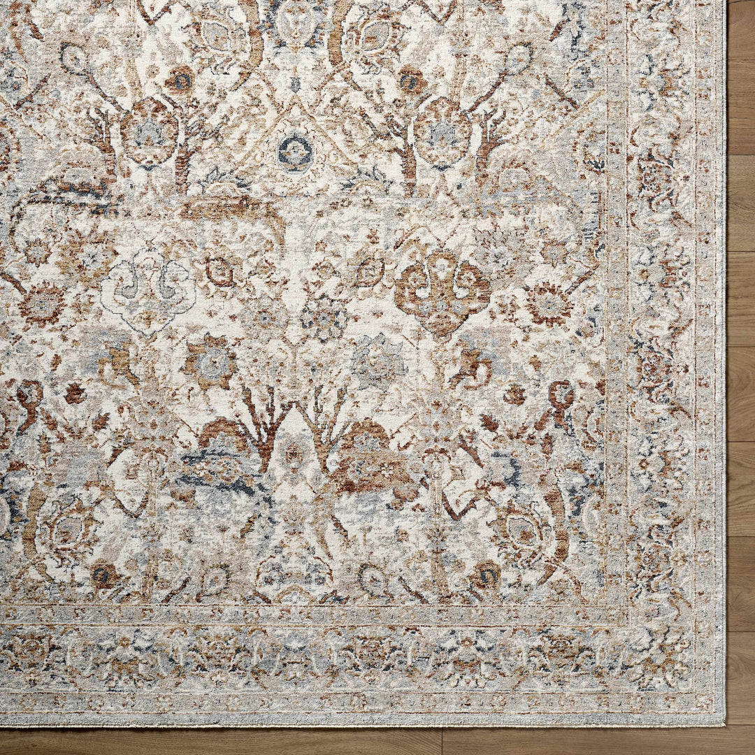 Chikao Traditional Style Beige And Brown Area Rug