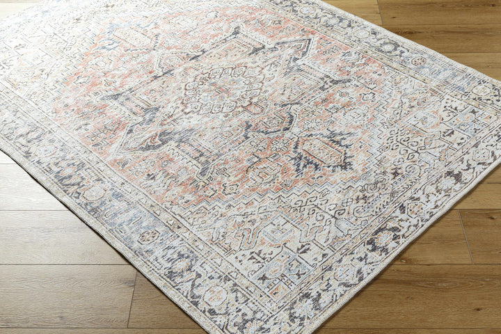 Aethwy Traditional Style Gray And Brown Washable Area Rug