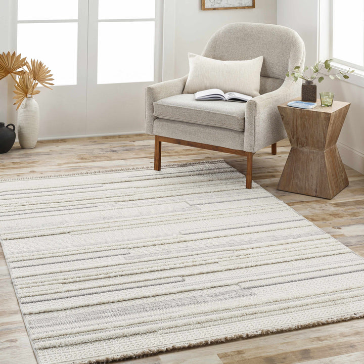 Dishman Contemporary Style Gray Rug
