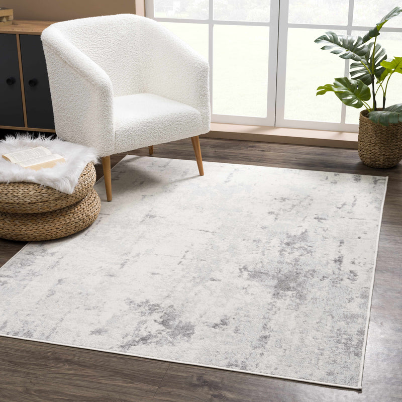 Contemporary Abstract Beige and Gray Medium Pile Multi Size Area Rug