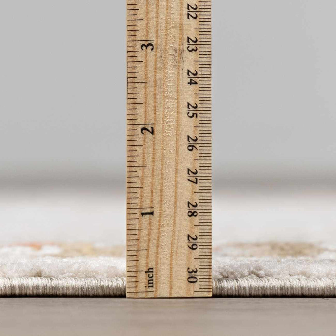 Elloree Traditional Style Ivory And Brown Area Rug