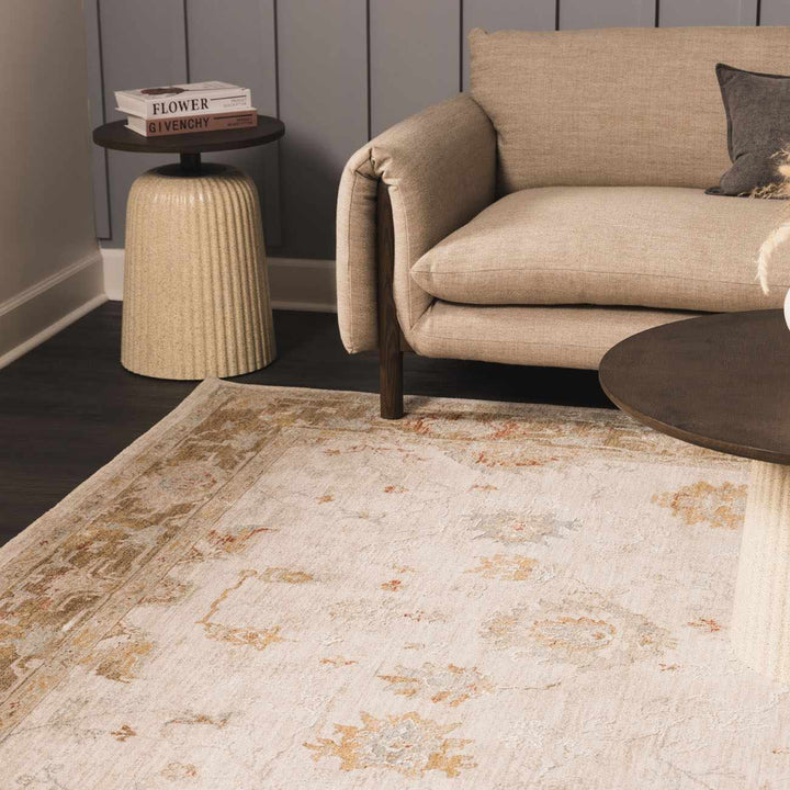 Elloree Traditional Style Ivory And Brown Area Rug